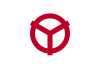 Flag of Yao