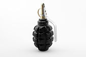 F1 grenade travmatik com 01 by-sa.jpg