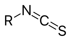 General structure of an isothiocyanate.