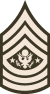 Army-USA-OR-09a (Army greens).svg