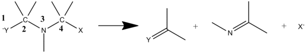 3-Aza-Grob Fragmentation Scheme