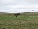 Rita Blanca National Grassland.jpg