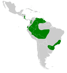 Chaetura cinereiventris map.svg