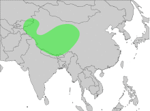 GypsHimalayensisMap.svg