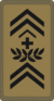 OR-9a - Adjudant d'état-major