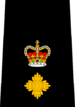 Calgary Police - Superintendent.png