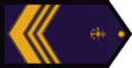 CI-ARA.png