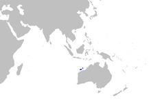 Etmopterus fusus distmap.png