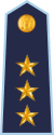 11.LVAF-CPT.svg