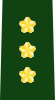 JGSDF Lieutenant General insignia (b).svg