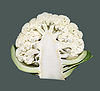 Blumenkohl-1.jpg