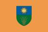 Flag of Füzesabon