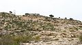 Gorakh Hills Trip.jpg