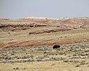 BisonHotSpringsStateParkWY.jpg