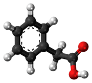 Ball-and-stick model of phenylacetic acid