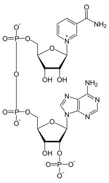 NADP+ phys.svg