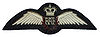 RAF pilot brevet (Queen's Crown).jpg