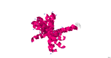 2IGR.pdb.png