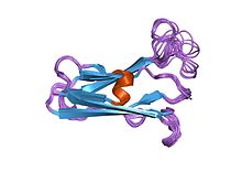 PDB 2fo8 EBI.jpg