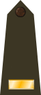 US Army O1 (Army greens).svg