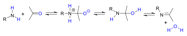 Alkylimino-de-oxo-bisubstitution