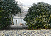Lowther Park - geograph.org.uk - 635319.jpg