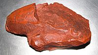 Arandaspis prionotolepis fossil.jpg
