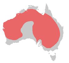 Bird range cockatiel.png