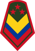 Colombia-Army-OR-9a.svg