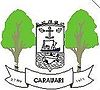 Official seal of Carauari