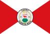 Flag of Cayey