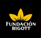 Fundación Bigott .png