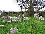 Donaghanie graveyard - geograph.org.uk - 76550.jpg