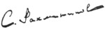 Rachmaninoff signature 1899 (transparent).png