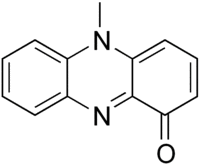 Structural formula of pyocyanin