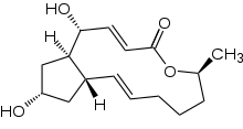 Brefeldin A Structural Formula V1.svg