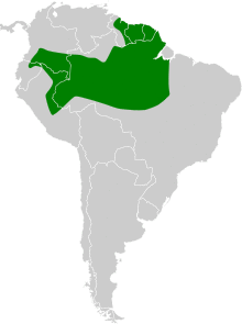 Conopophaga aurita map.svg