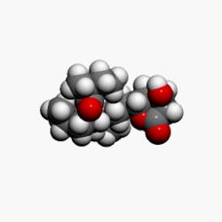 Lovastatin3Dan.gif