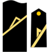 17arm.png