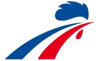 Shirt badge/Association crest