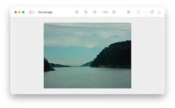 Preview 11.0 running on macOS 11 Big Sur