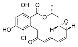 Radicicol Winssinger et al.svg