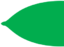 Leaf morphology Apiculate.png