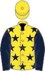 Yellow, dark blue stars and sleeves, yellow cap
