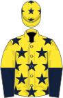 Yellow, dark blue stars, halved sleeves