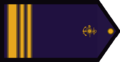 SI-ARA.png