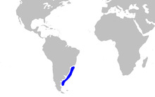 Squatina argentina distmap.png