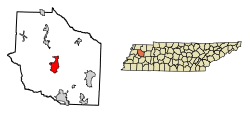 Location of Trenton in Gibson County, Tennessee.