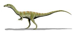 Shuvosaurus BW.jpg
