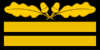 GenLt Gruf OF7 cam slv 1945.svg